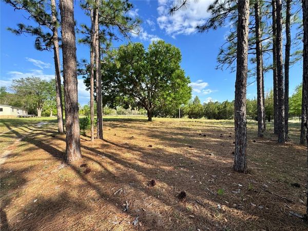4551 NE 132ND COURT , WILLISTON, FL 32696