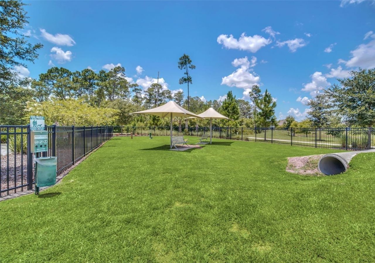 2937 Deerberry Lane, Clermont, FL 34714 Photo