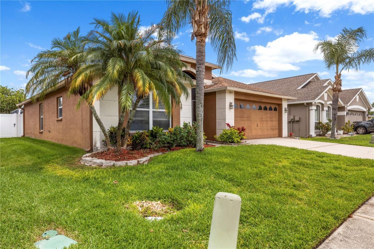 22741 Roderick Drive, Land O Lakes, FL 34639 Photo