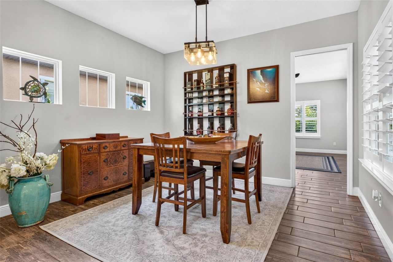 6104 Shadowlake Drive, Apollo Beach, FL 33572 Photo