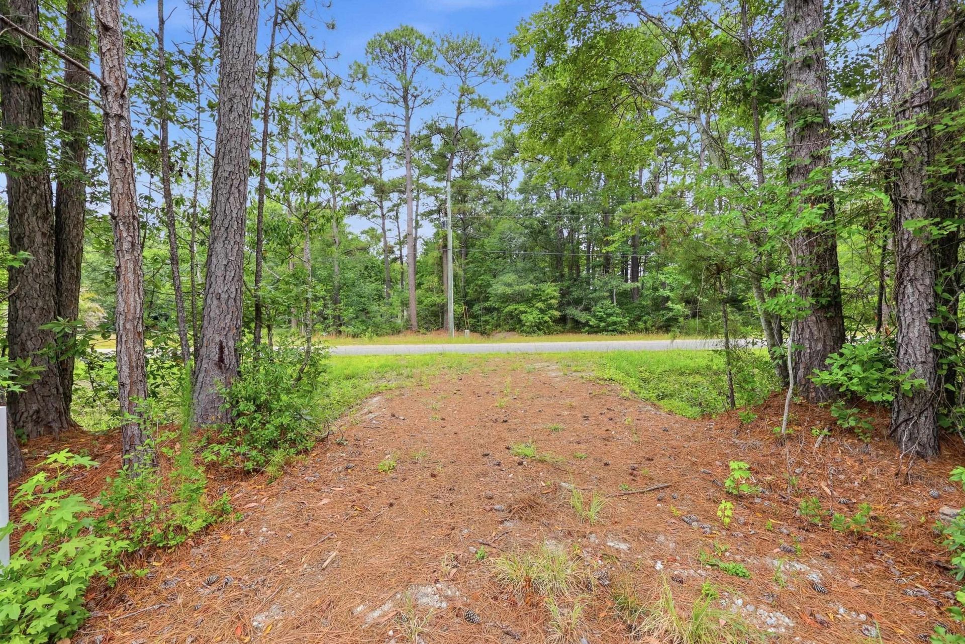 Lot B Cypress Dr.  Photo 6