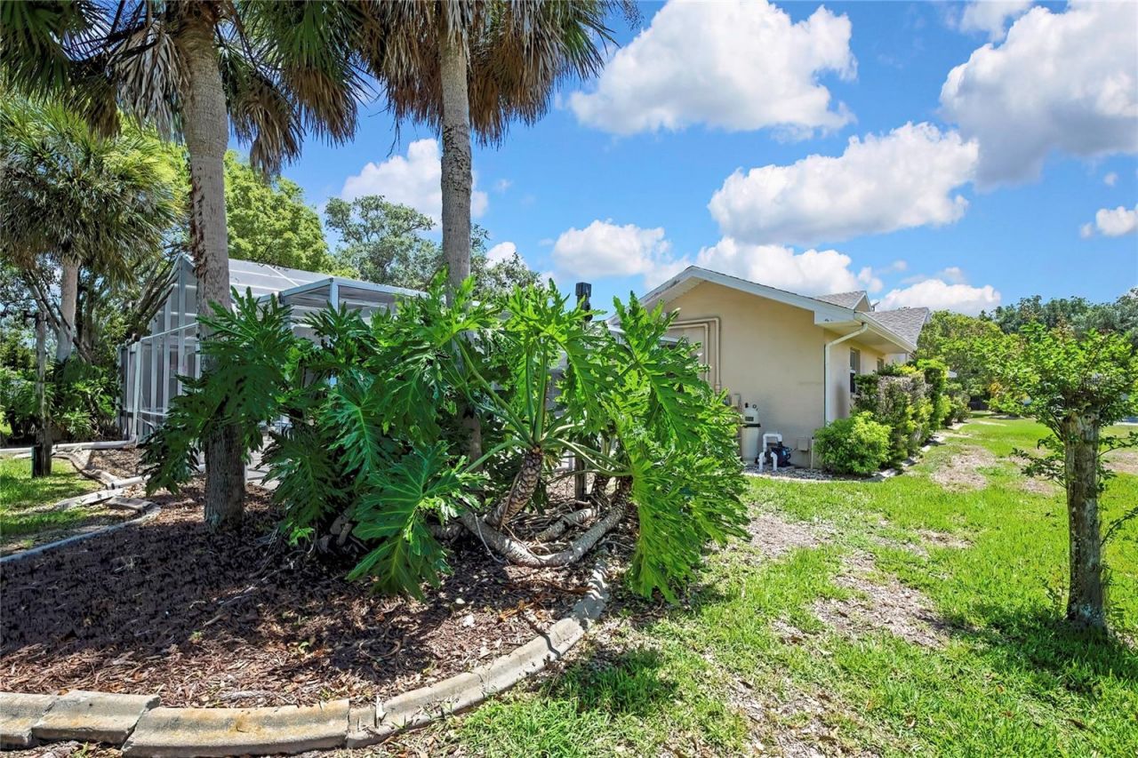 4293 River Birch Drive , Spring Hill, FL 34607 Photo