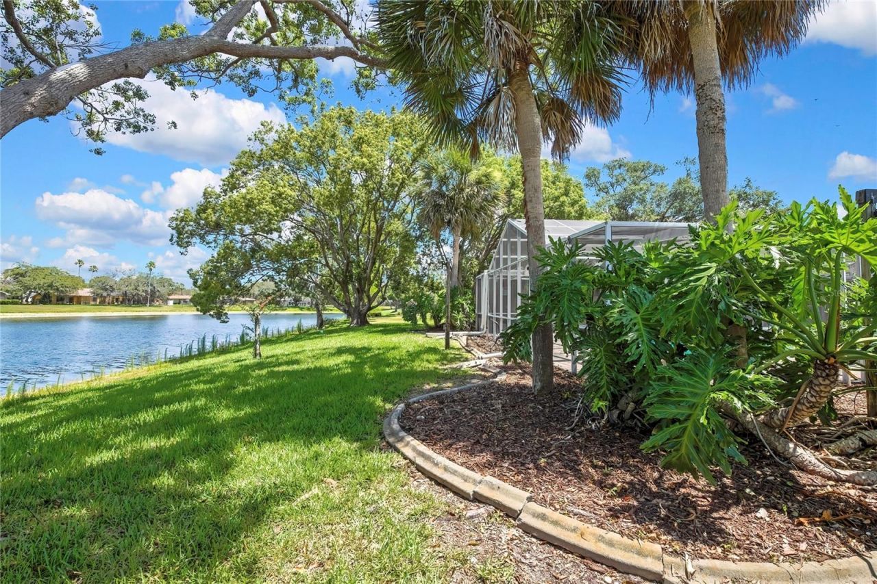 4293 River Birch Drive , Spring Hill, FL 34607 Photo