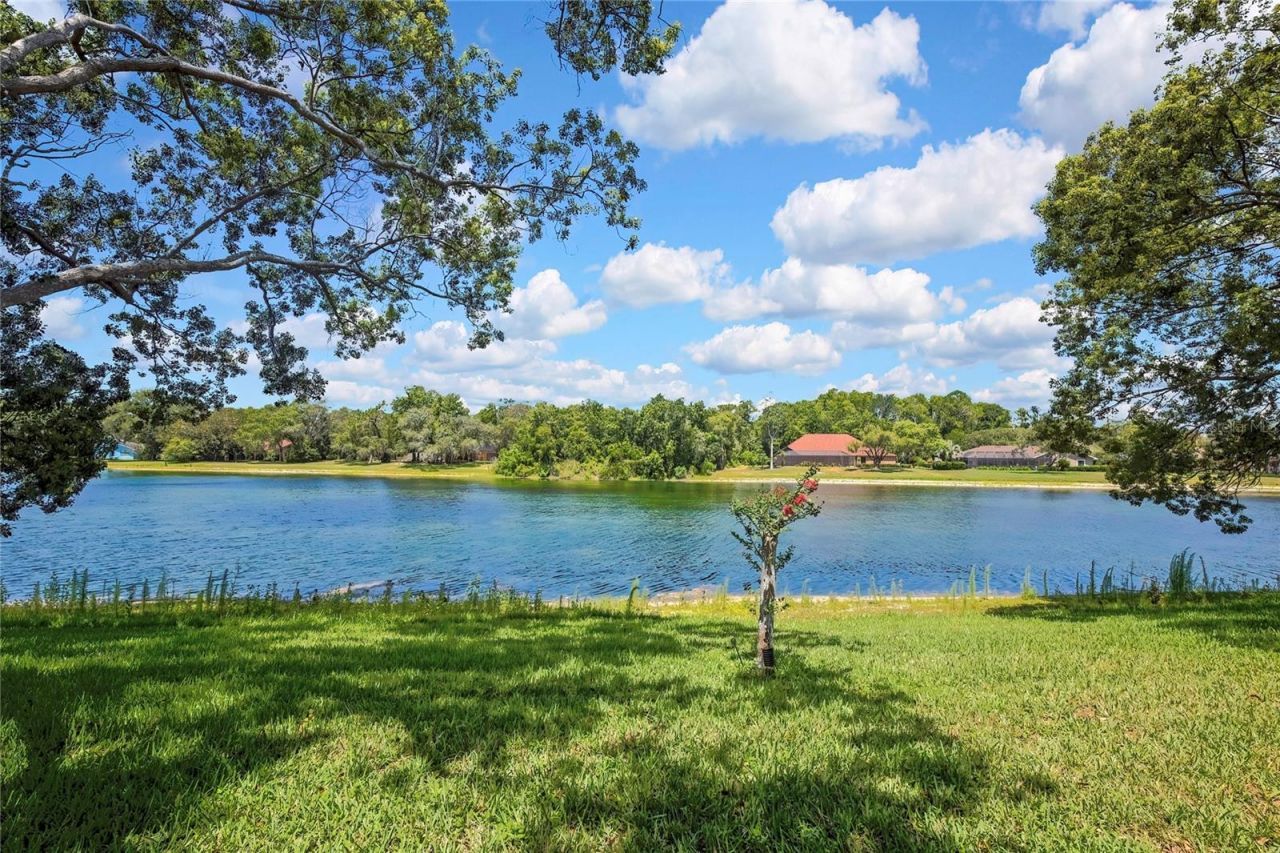 4293 River Birch Drive , Spring Hill, FL 34607 Photo