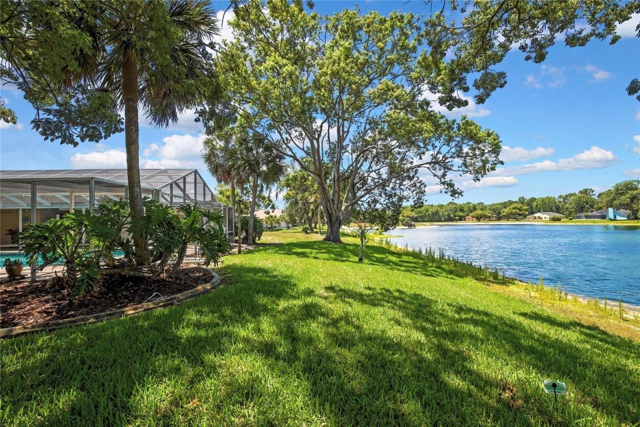 4293 River Birch Drive , Spring Hill, FL 34607 Photo
