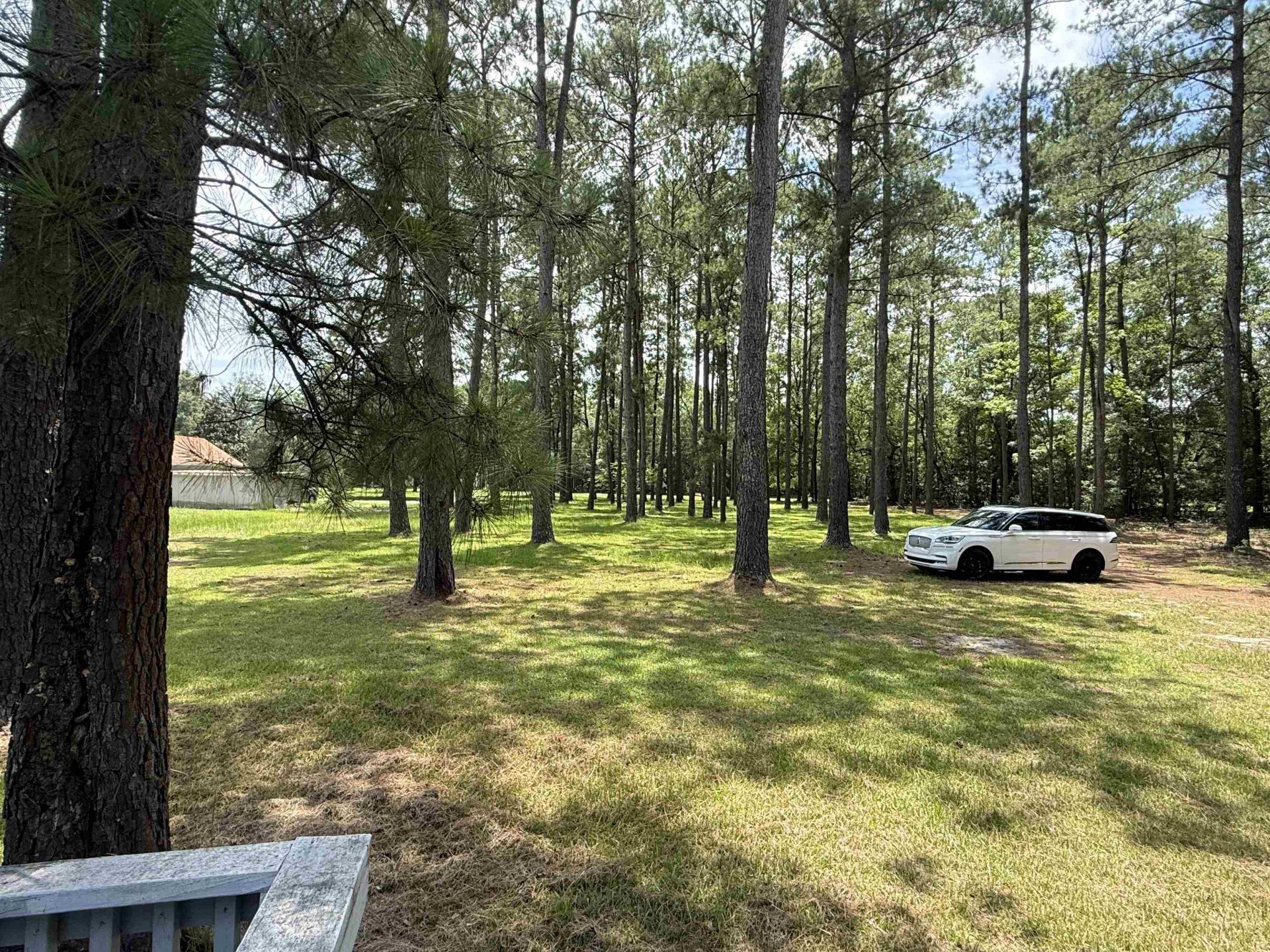 7241 Lawrimore Ln.  Photo 24
