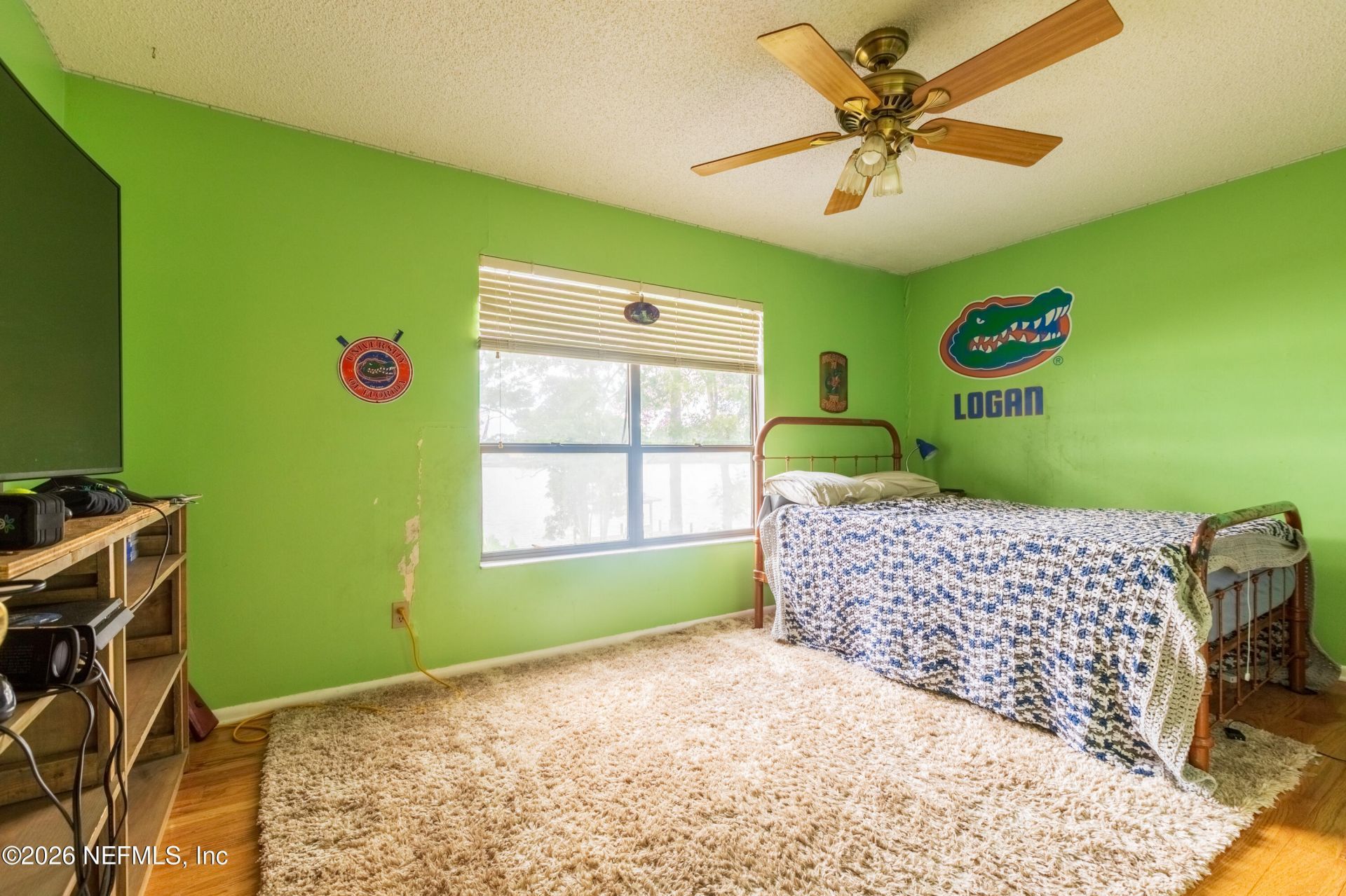 157 Ida Boulevard, Interlachen, FL 32148 Photo
