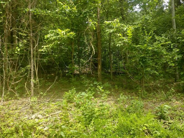 0 Mcitire LN, Mountain View, AR 72560
