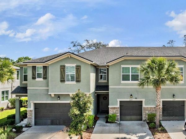 14229 DAMSELFLY DRIVE , TAMPA, FL 33625