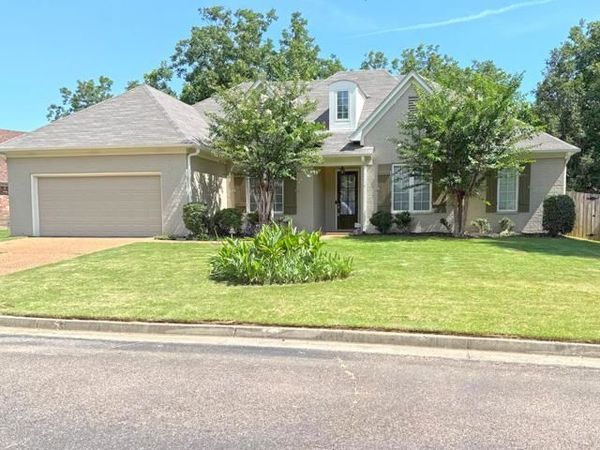 8678 ASHBURY OAK DR, Memphis, TN 38018