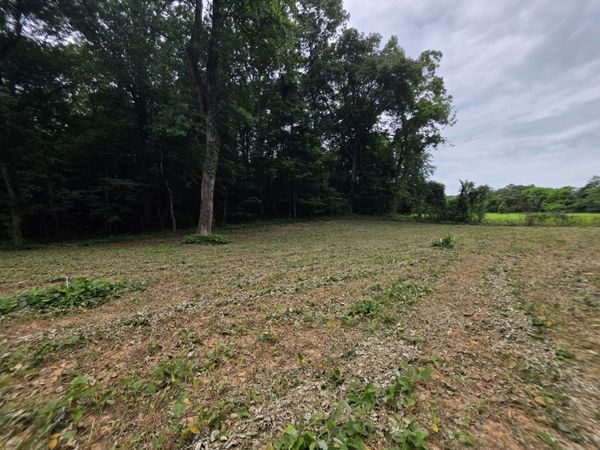 12 Shellsford Rd , Unit 12, McMinnville, TN 37110
