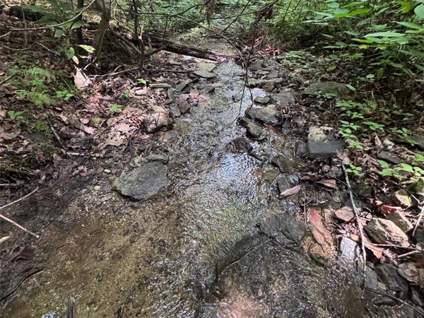10A Reserve Road , Brevard, NC 28768