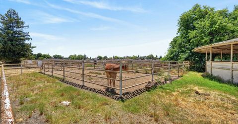 24390 N Jack Tone Rd, Acampo, CA 95220 Photo