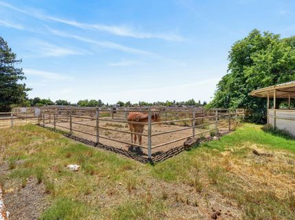 24390 N Jack Tone Rd, Acampo, CA 95220 Photo
