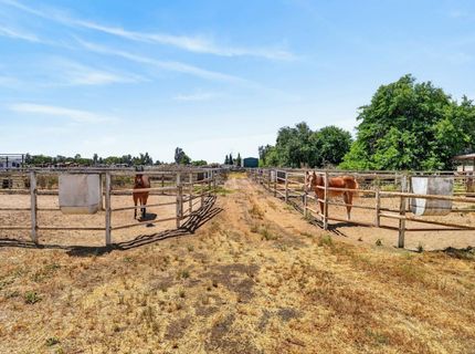 24390 N Jack Tone Rd, Acampo, CA 95220 Photo