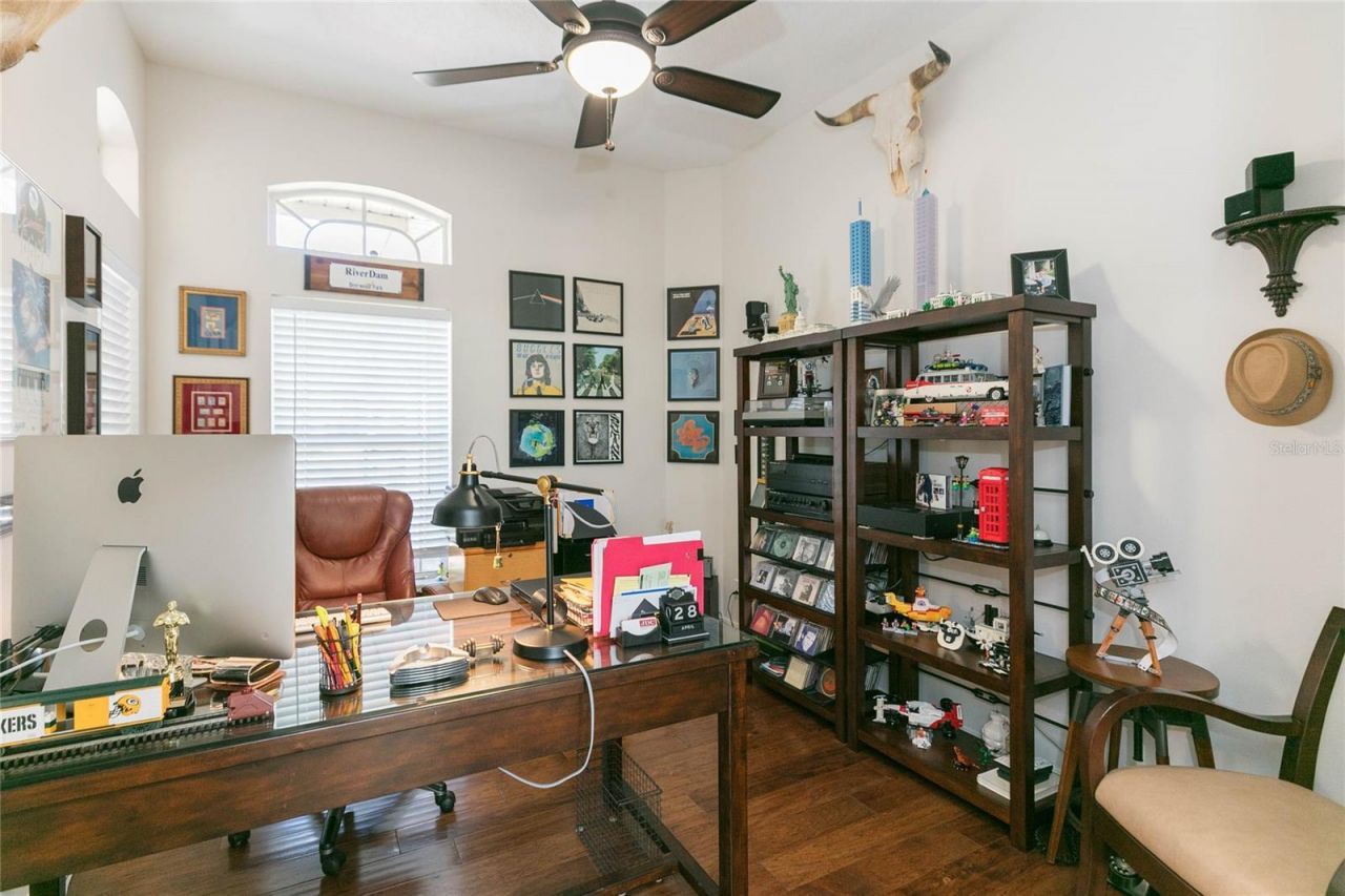 26731 Winged Elm Drive, Wesley Chapel, FL 33544 Photo