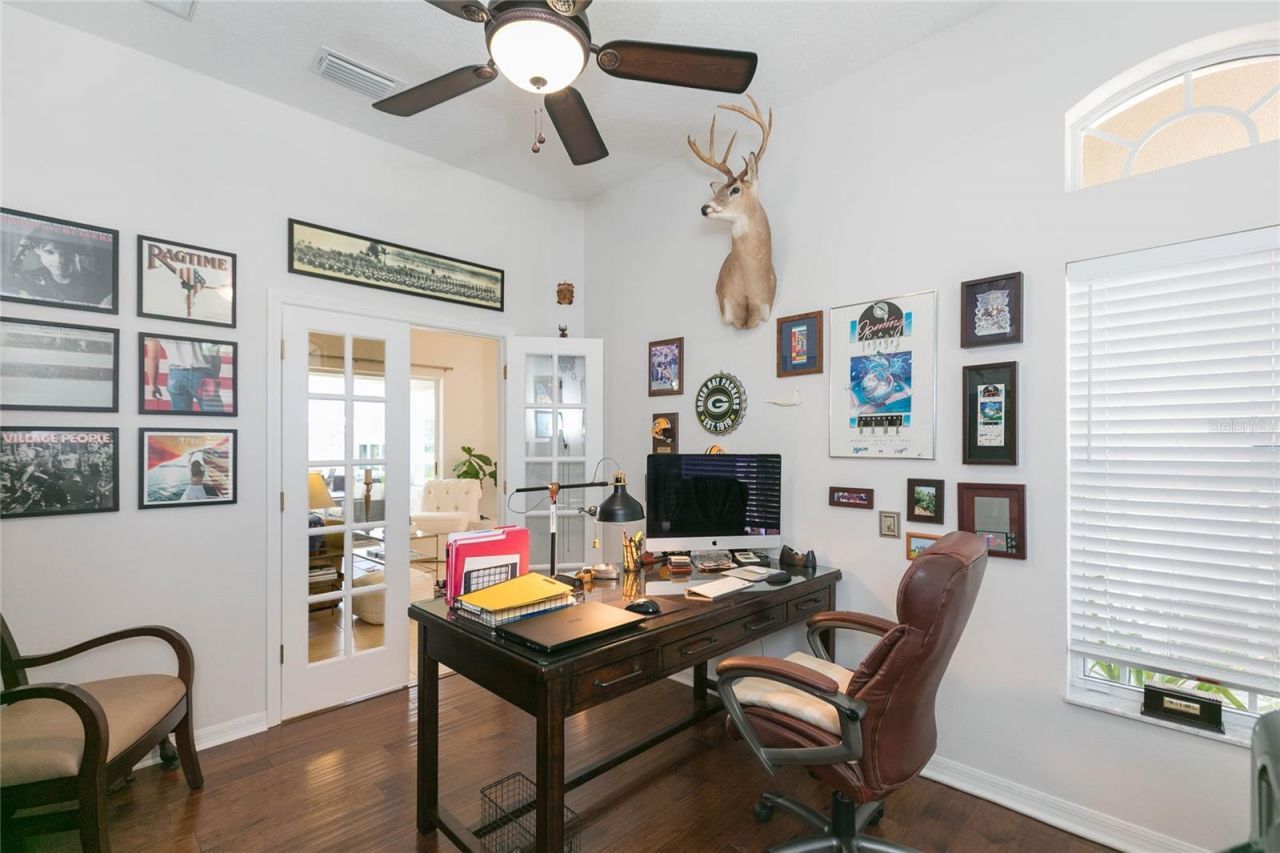 26731 Winged Elm Drive, Wesley Chapel, FL 33544 Photo