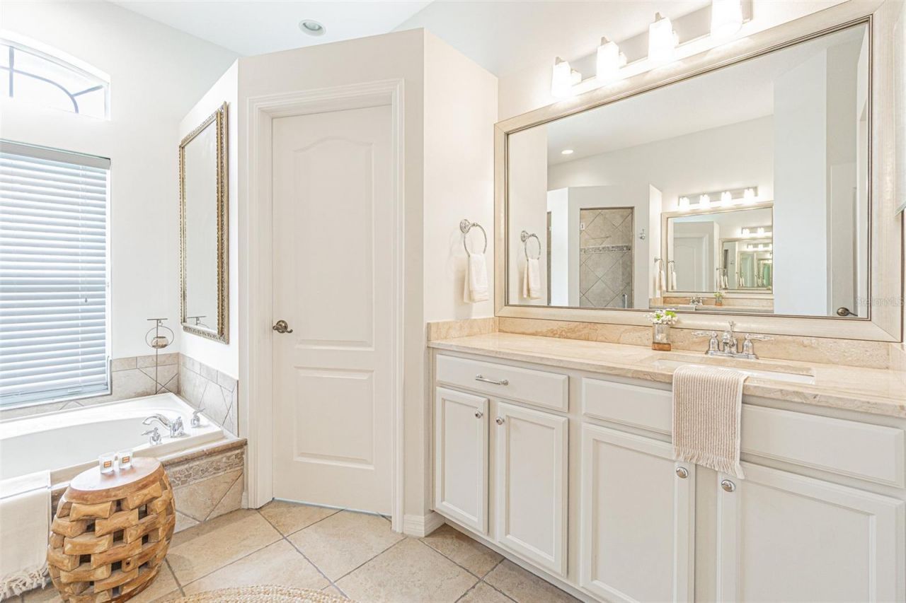 26731 Winged Elm Drive, Wesley Chapel, FL 33544 Photo