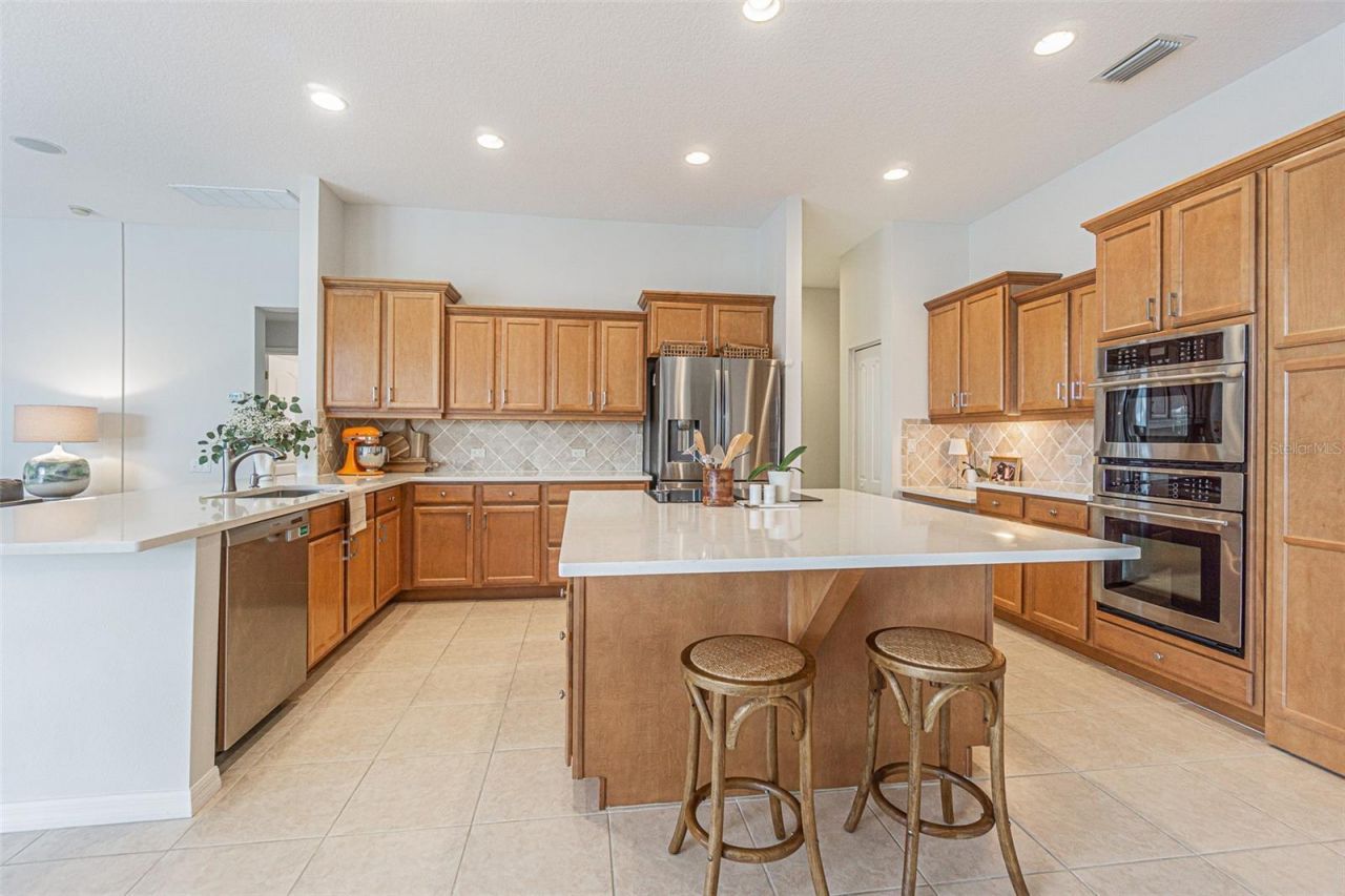 26731 Winged Elm Drive, Wesley Chapel, FL 33544 Photo