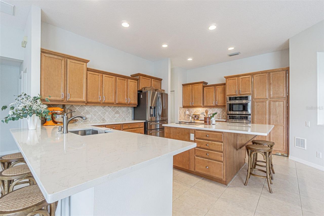 26731 Winged Elm Drive, Wesley Chapel, FL 33544 Photo
