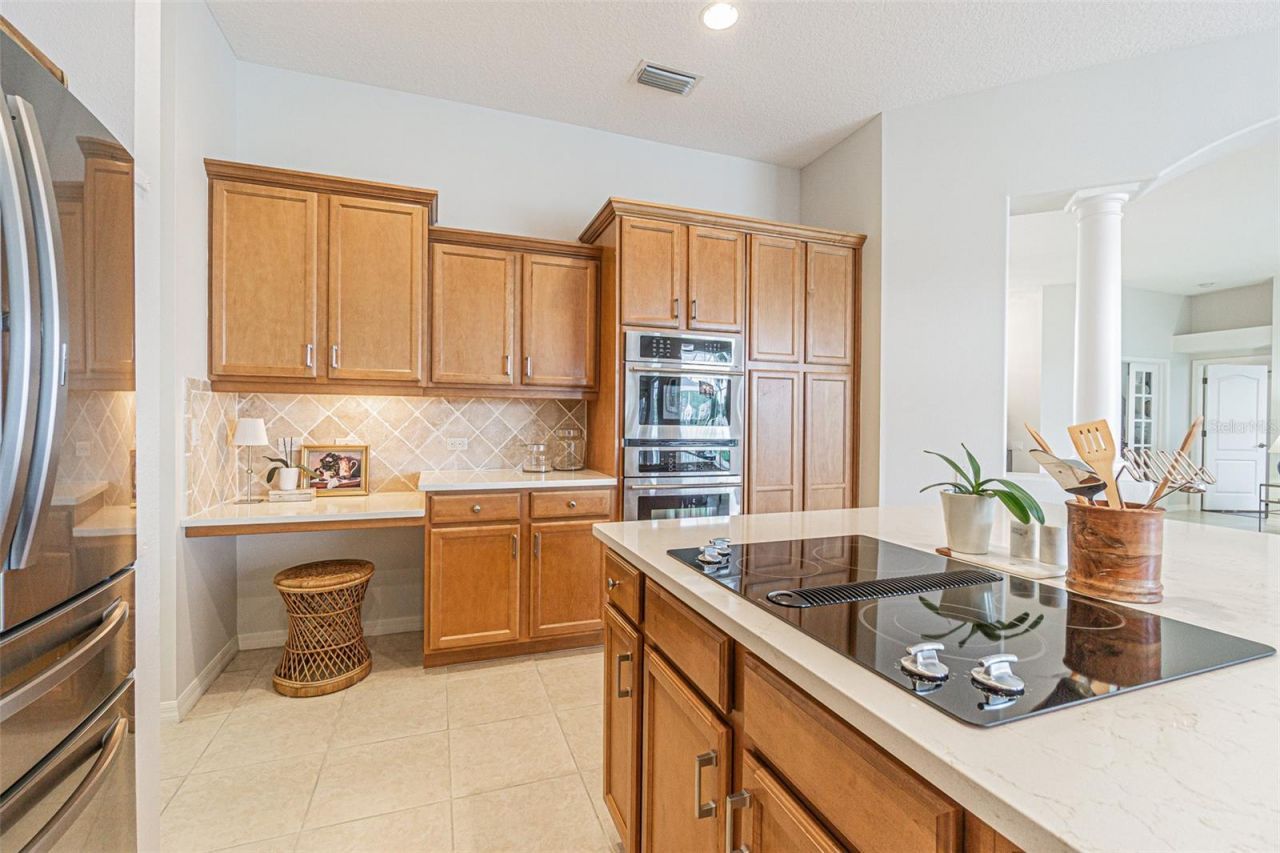 26731 Winged Elm Drive, Wesley Chapel, FL 33544 Photo