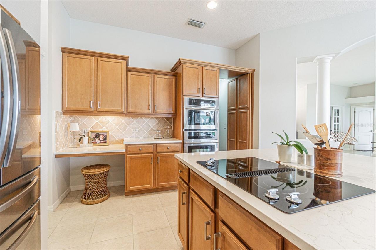 26731 Winged Elm Drive, Wesley Chapel, FL 33544 Photo