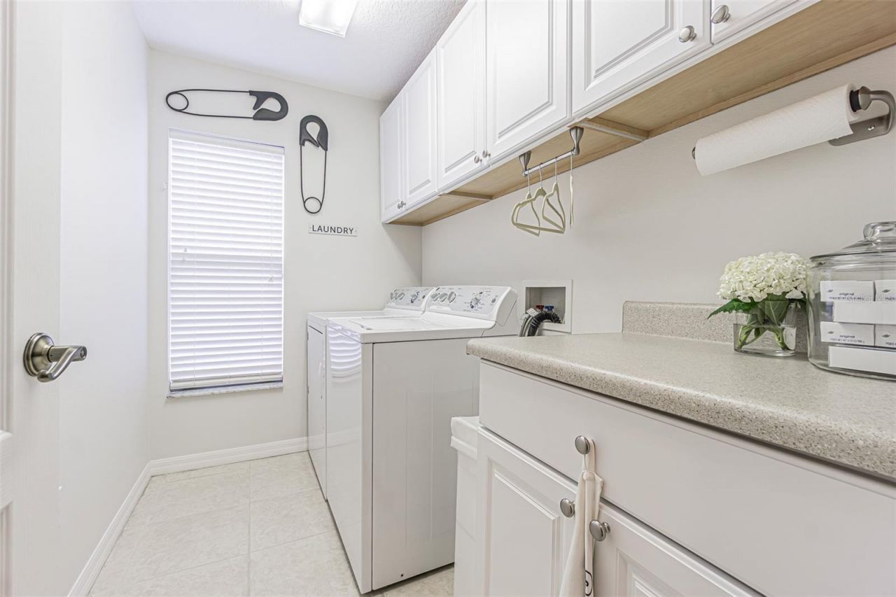 26731 Winged Elm Drive, Wesley Chapel, FL 33544 Photo