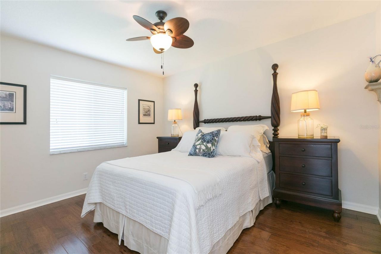 26731 Winged Elm Drive, Wesley Chapel, FL 33544 Photo