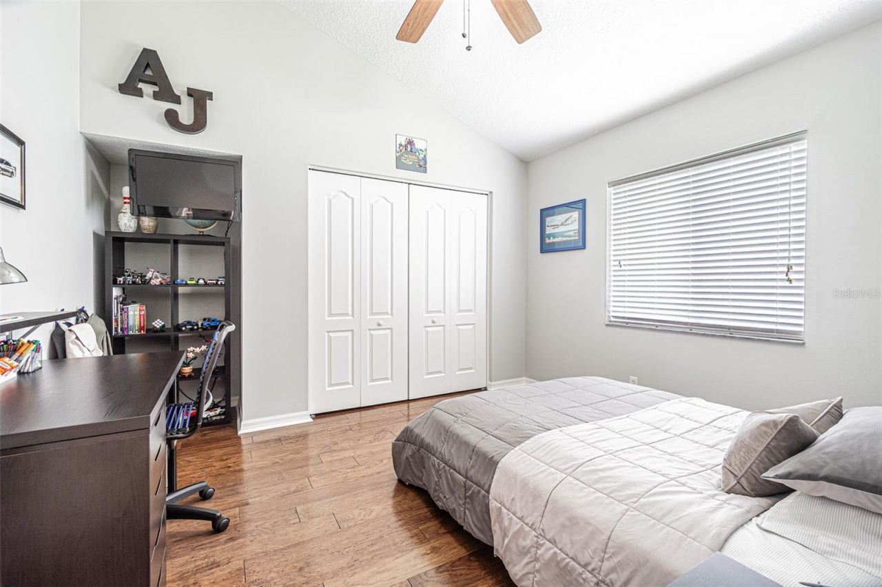 26731 Winged Elm Drive, Wesley Chapel, FL 33544 Photo