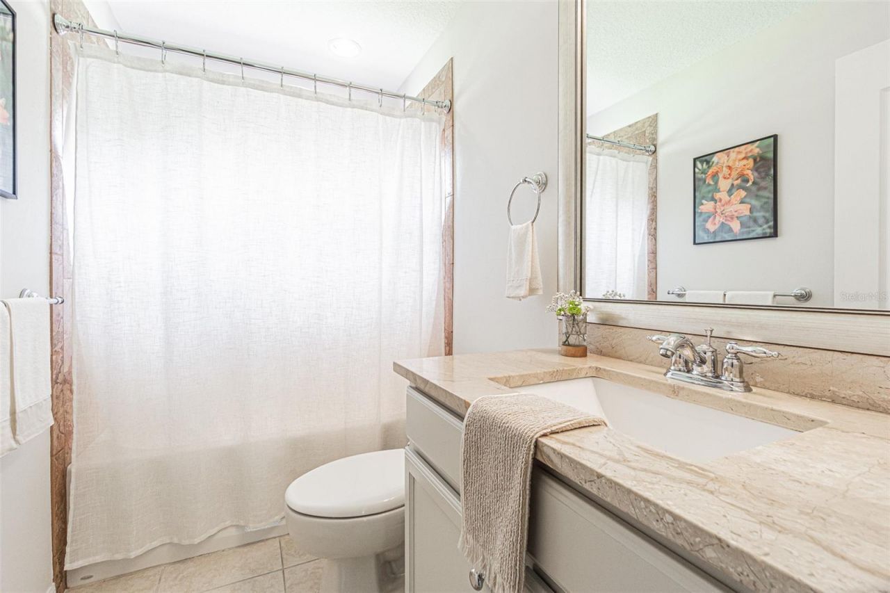 26731 Winged Elm Drive, Wesley Chapel, FL 33544 Photo