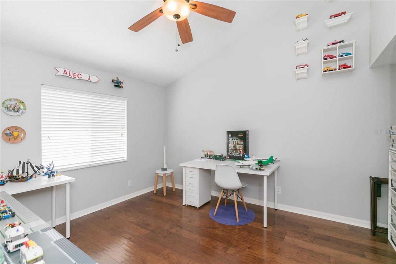 26731 Winged Elm Drive, Wesley Chapel, FL 33544 Photo