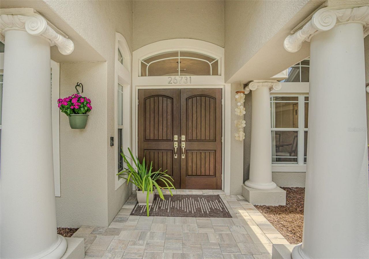 26731 Winged Elm Drive, Wesley Chapel, FL 33544 Photo