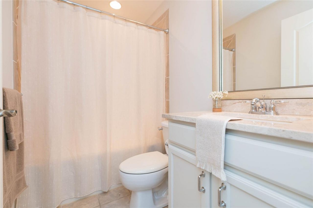 26731 Winged Elm Drive, Wesley Chapel, FL 33544 Photo