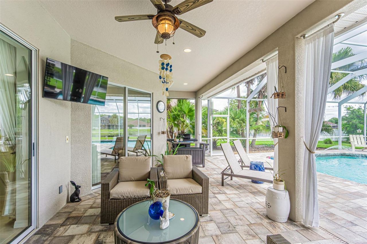 26731 Winged Elm Drive, Wesley Chapel, FL 33544 Photo