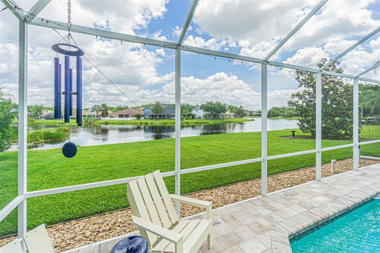 26731 Winged Elm Drive, Wesley Chapel, FL 33544 Photo