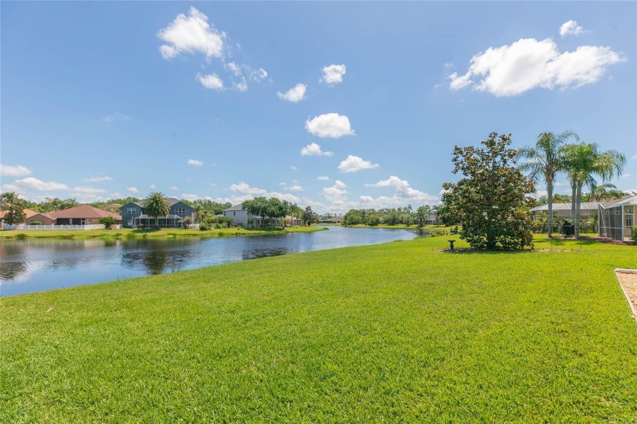 26731 Winged Elm Drive, Wesley Chapel, FL 33544 Photo
