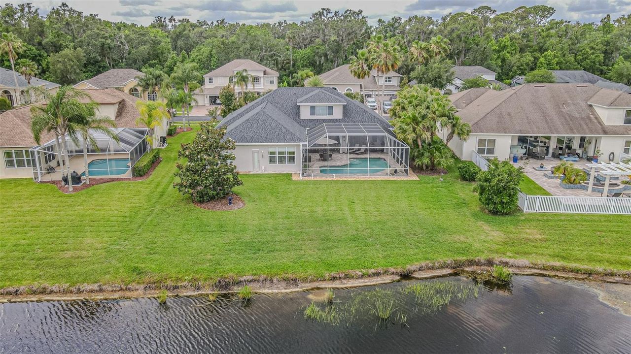 26731 Winged Elm Drive, Wesley Chapel, FL 33544 Photo