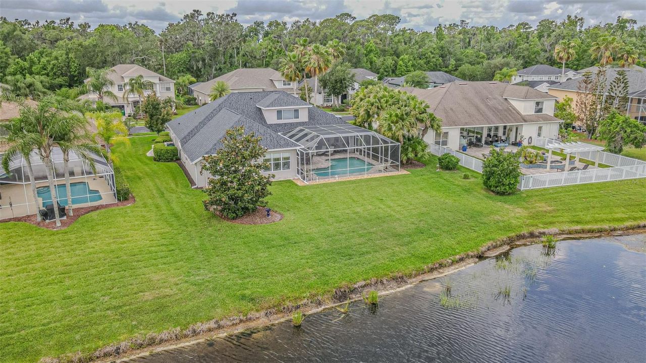 26731 Winged Elm Drive, Wesley Chapel, FL 33544 Photo
