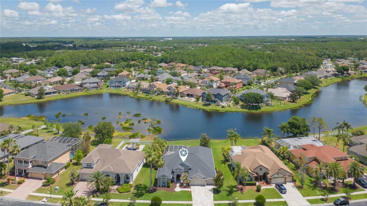 26731 Winged Elm Drive, Wesley Chapel, FL 33544 Photo