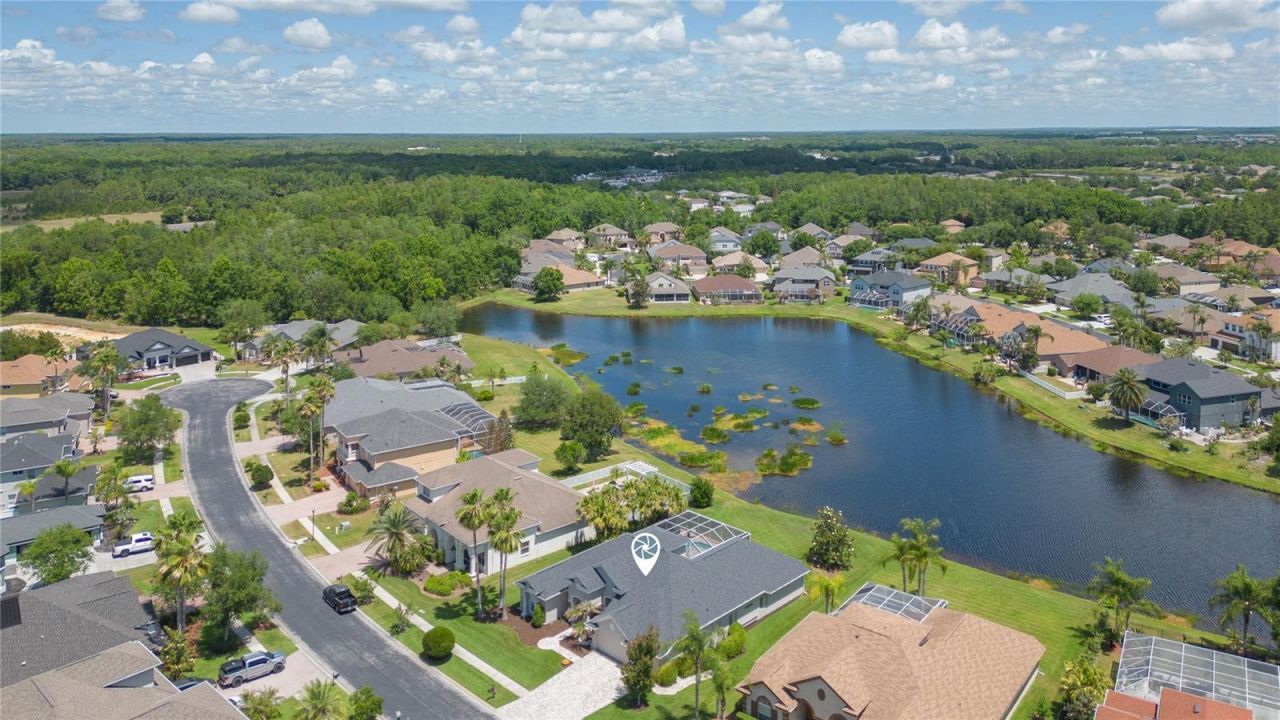 26731 Winged Elm Drive, Wesley Chapel, FL 33544 Photo