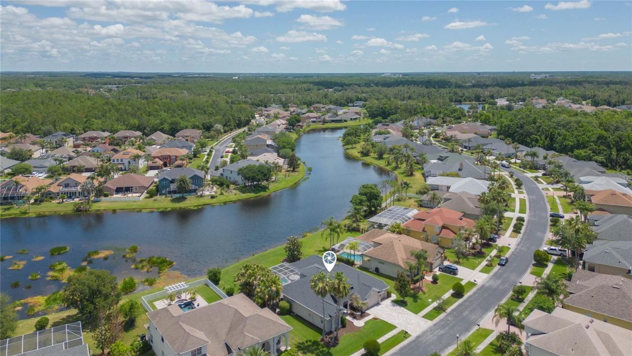 26731 Winged Elm Drive, Wesley Chapel, FL 33544 Photo