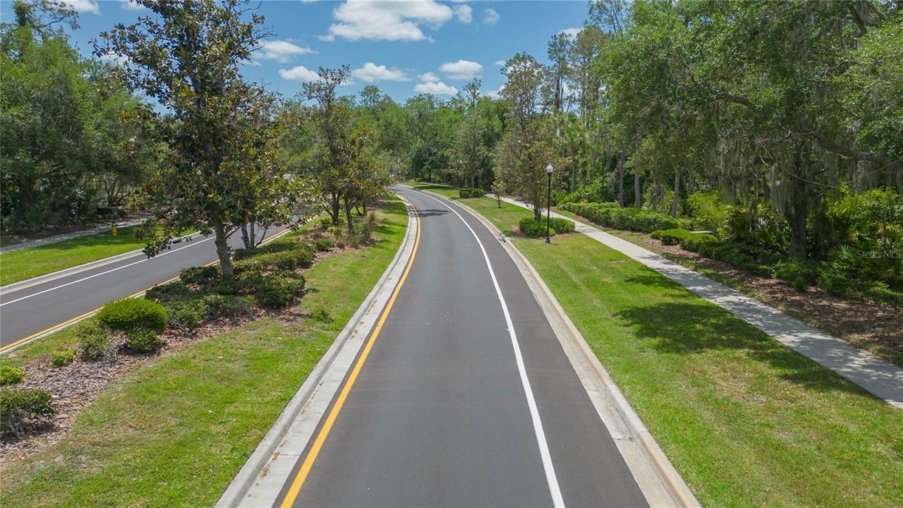 26731 Winged Elm Drive, Wesley Chapel, FL 33544 Photo