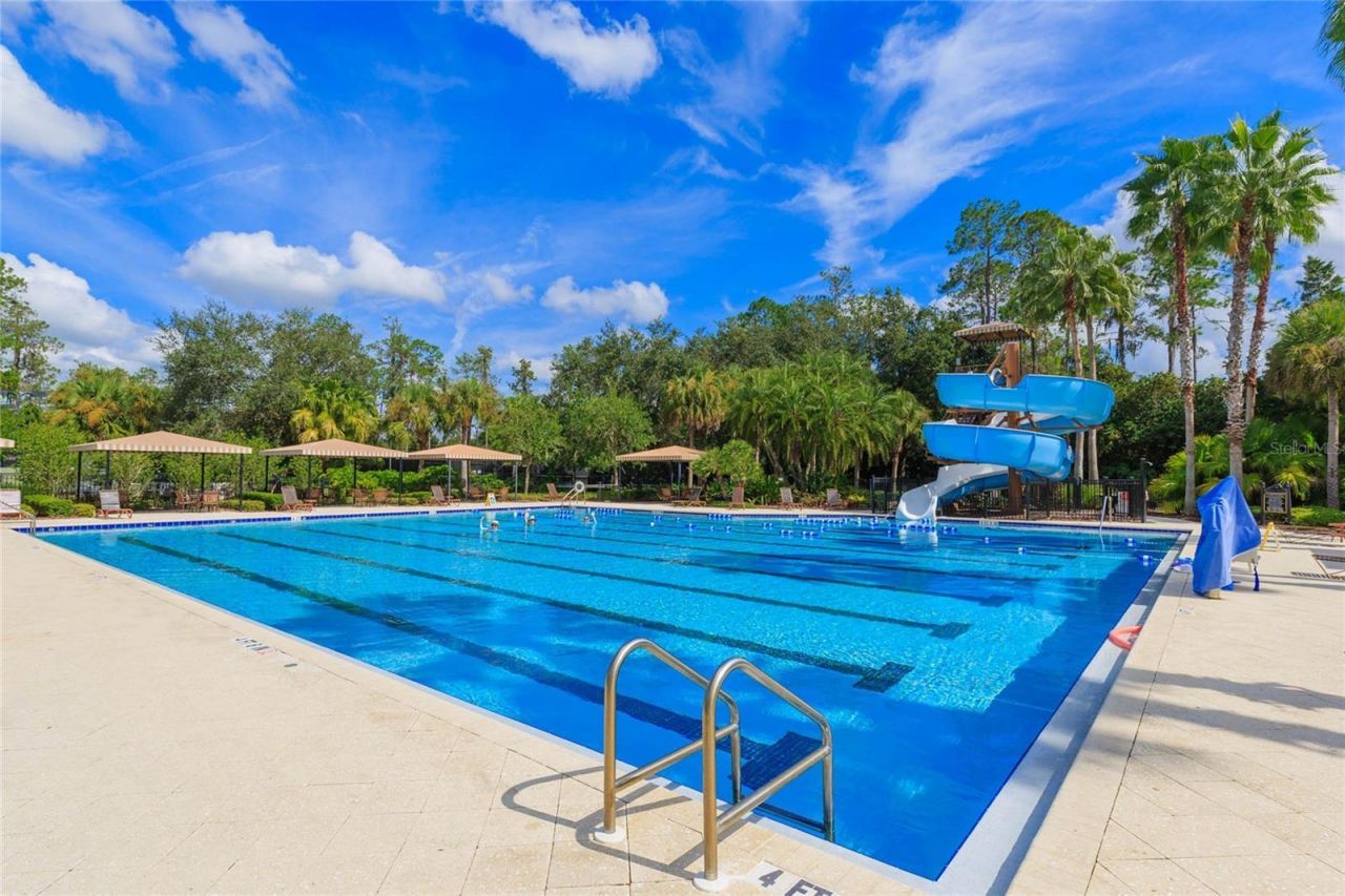 26731 Winged Elm Drive, Wesley Chapel, FL 33544 Photo