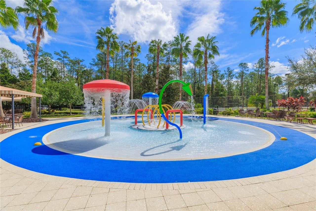 26731 Winged Elm Drive, Wesley Chapel, FL 33544 Photo