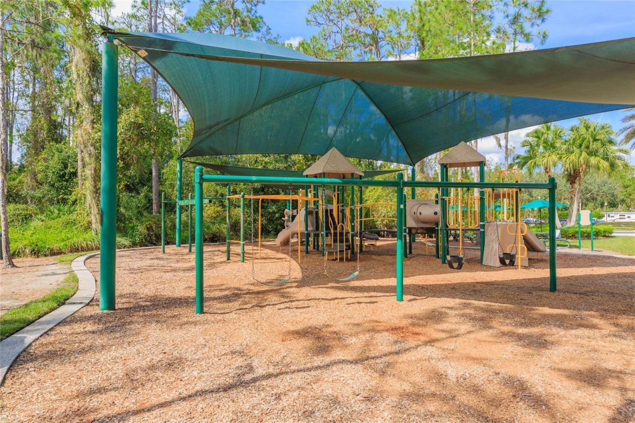 26731 Winged Elm Drive, Wesley Chapel, FL 33544 Photo