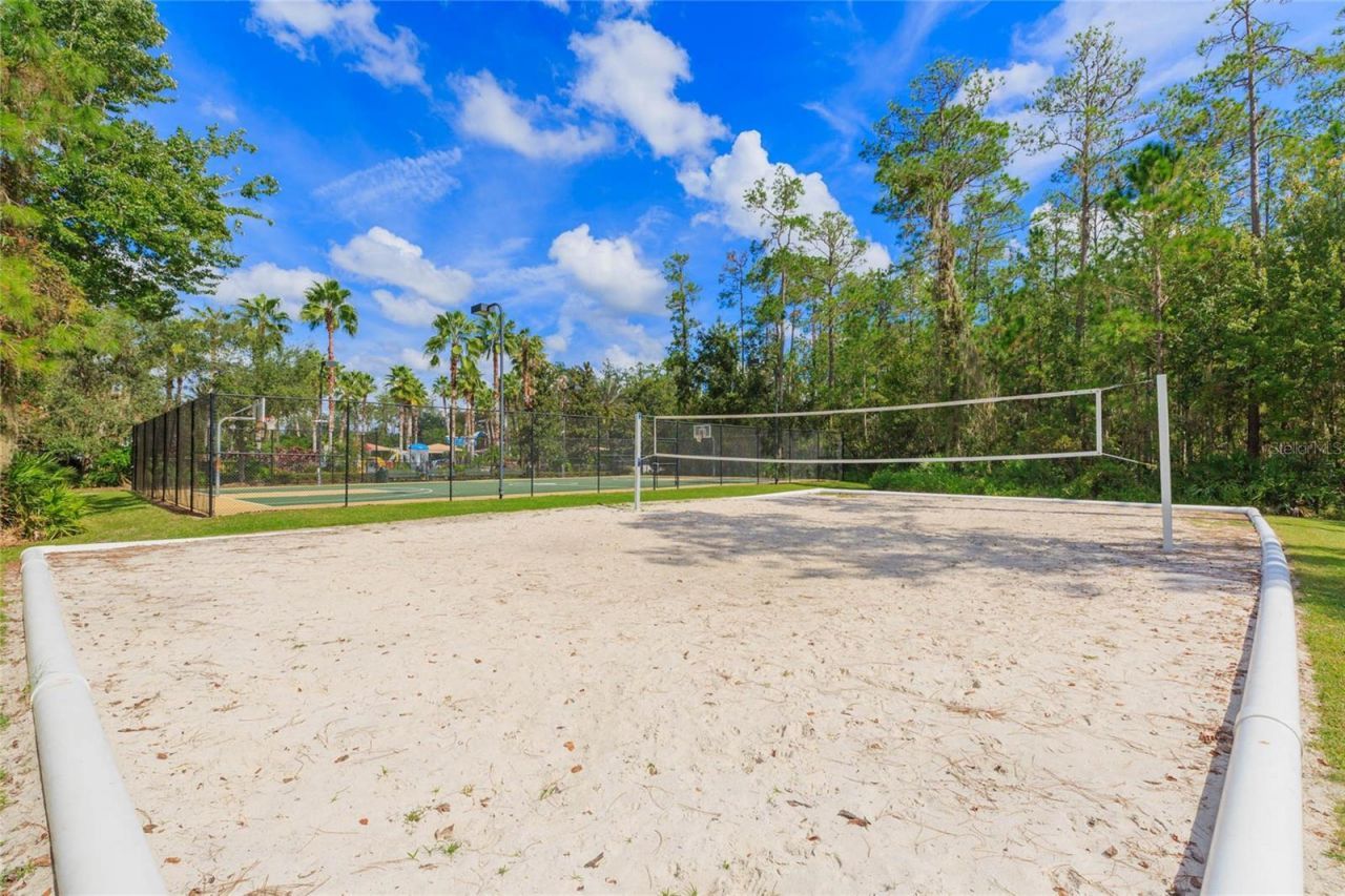 26731 Winged Elm Drive, Wesley Chapel, FL 33544 Photo