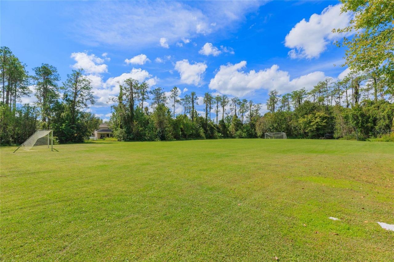 26731 Winged Elm Drive, Wesley Chapel, FL 33544 Photo