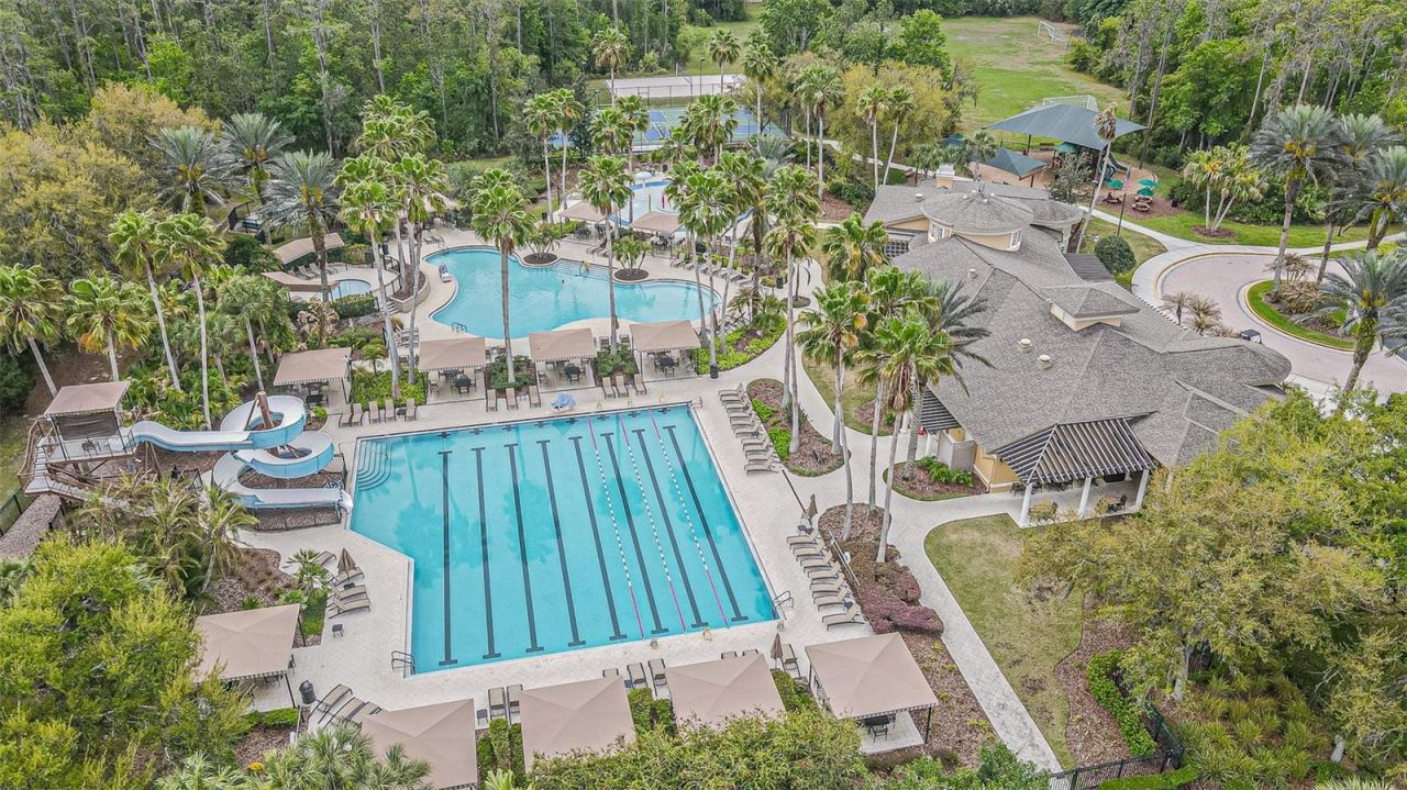 26731 Winged Elm Drive, Wesley Chapel, FL 33544 Photo