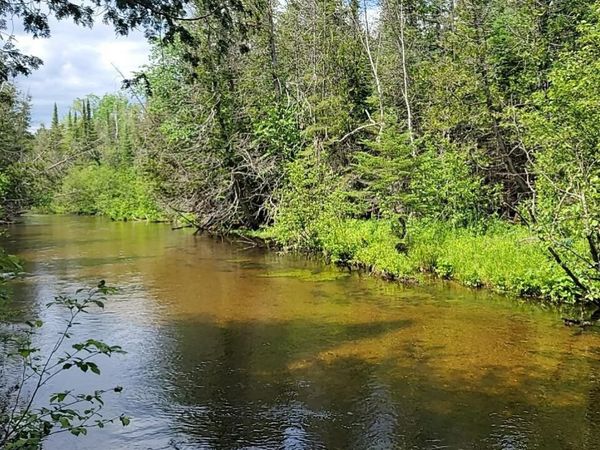 Batterson Road W, Frederic, MI 49733