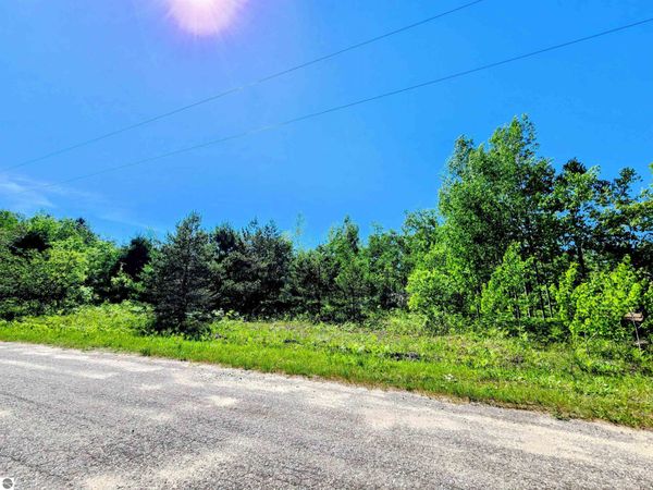 111 Breezewood Drive, Mancelona, MI 49659